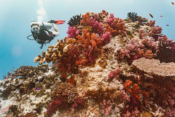 A person scubas over a colorful coral reef in Fiji