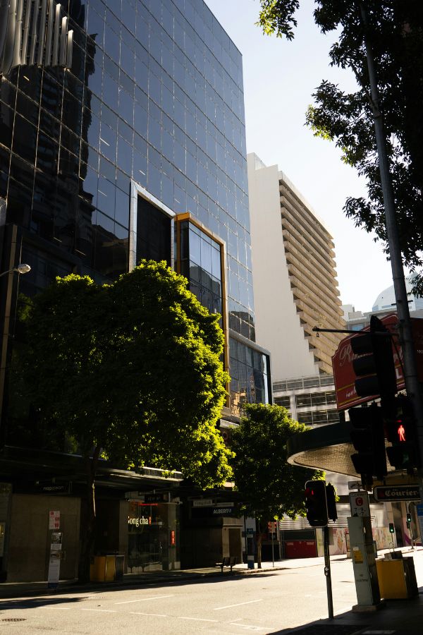 Modern urban building surrounded by trees