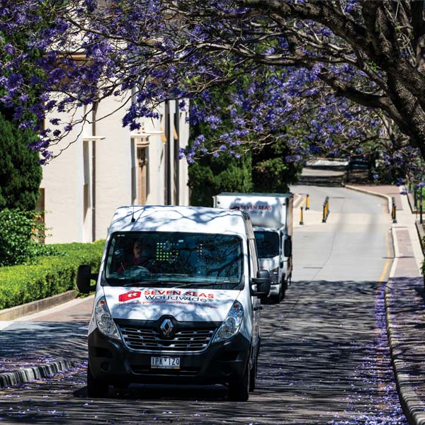 Seven Seas Worldwide vans driving under trees in Australia