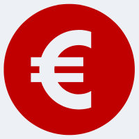 Euro icon