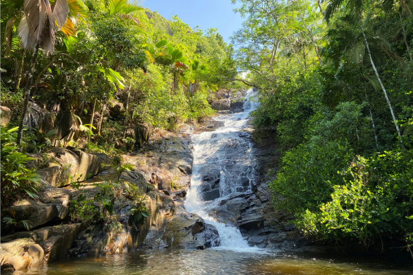 Waterfall in the Seychelles
