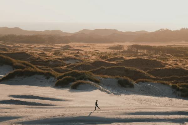 Person walking through sand dunes in Denmark