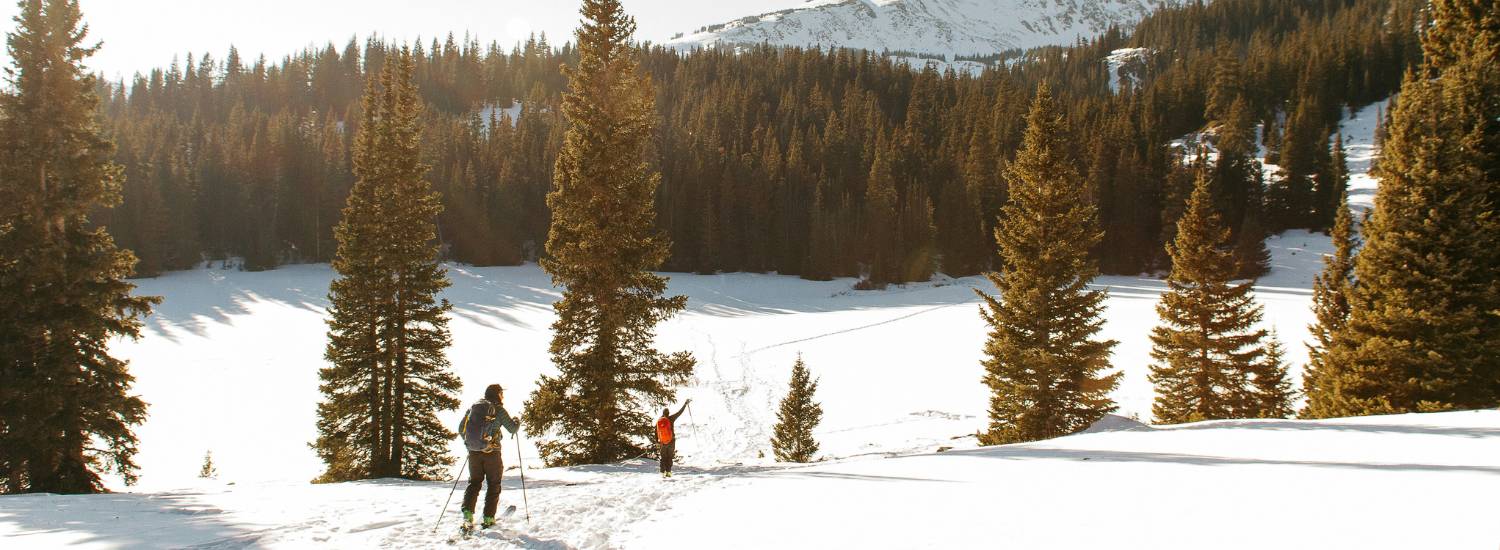 Two people skiing through snowy mountains covered in fir trees