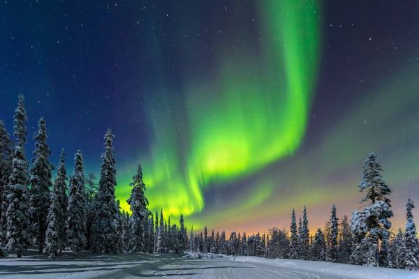 Northern Lights over a snowy forest in Finland