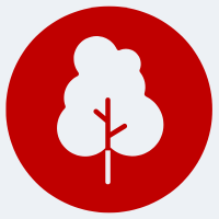 Tree icon