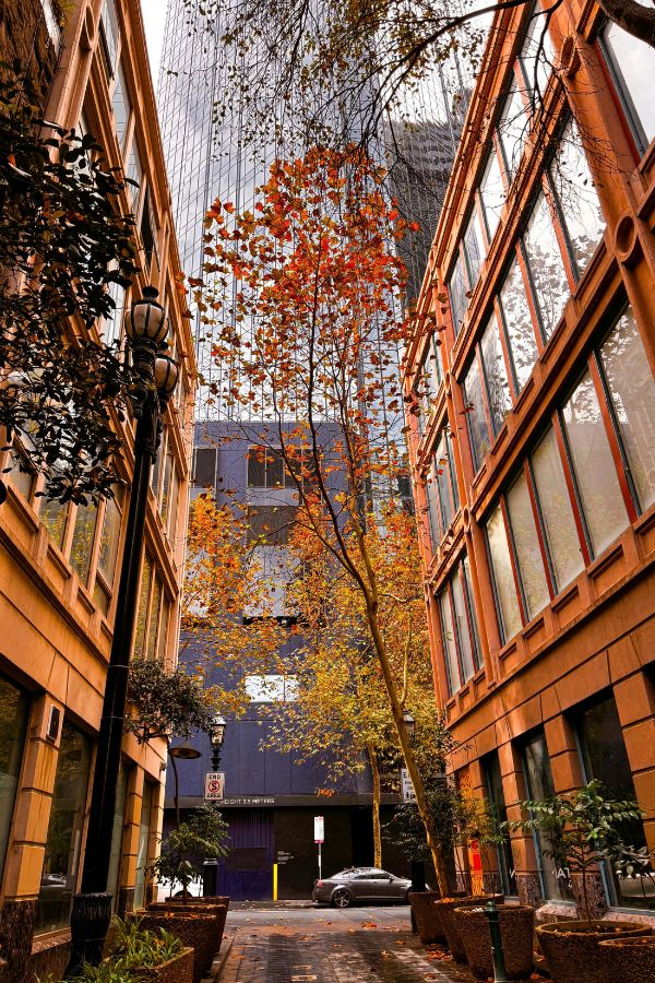 Narrow street and apartment buildings in Melbourne CBD