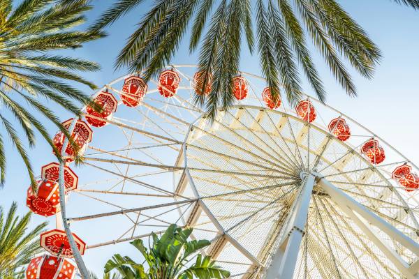 Ferris wheel next to palm trees in Irvine California